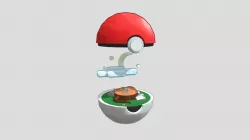 Pokeball Environment