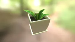 Potted Plant