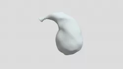 Sac