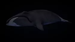 SCP-2146