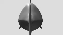 Shark Final Sculpt