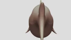 Shark Sculpt V1