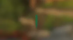 Snek