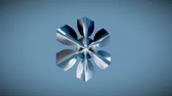 SNOWFLAKE