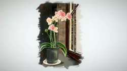 Speed Still Life - Orchid