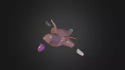 test colored obj