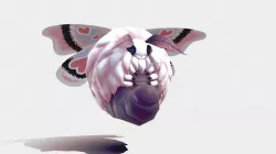 Tiny Moth