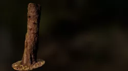 Tree 4