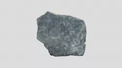 Turtle Carapace (VCU_3D_4712)