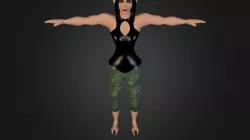 WIP