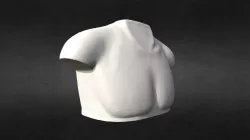 3D Scanned Mannequin Torso