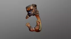 Boxer Dog Ring
