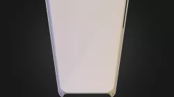 case
