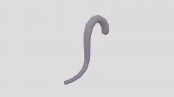 Cat Tail