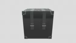 Chest