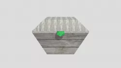 Chest