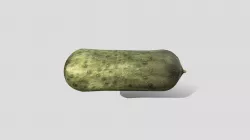 cucumber