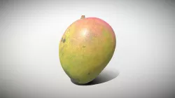 Exotic Fruit Mango - Photoscanned PBR