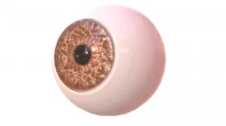 Eyeball