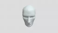Face And Head Model