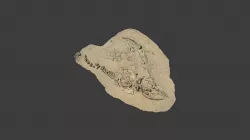 Fossil Whale Excavation Site MPC 665-667