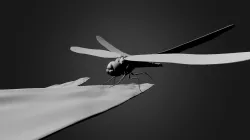 globe_skimmer