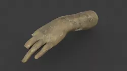 Life Cast of Left Forearm and Hand