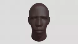 Mummy Skull Facial Approximation (VCU_3D_5170)