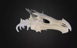 skyrim Skeleton Dragon Skull