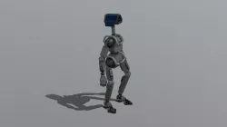 SOI_BOT