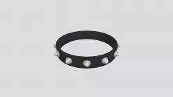 Spike Collar