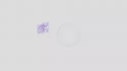 Stop Motion Galaxy