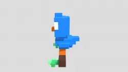 tori
