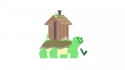 Tortoise!