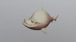2020-02-11_Shark