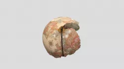 3D globe