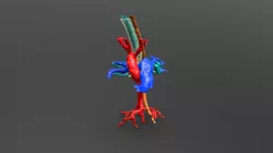 Bio