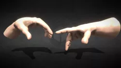 Body - Hand Pose