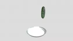 Cucumber