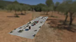 Desert Dragon