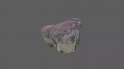 Dinosaur Bone 2