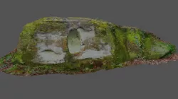 Face Stone in Caldy Wood