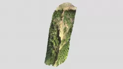 Forestry Landslide - Wilson Upper