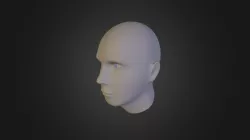 head model 