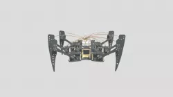 Hexapod robot