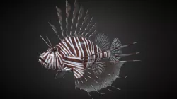 Lionfish