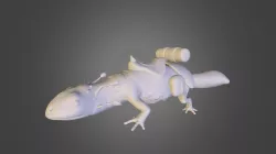 Lizard Mount