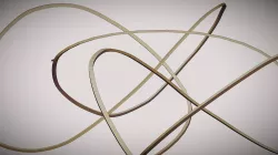 LOOP