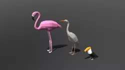 Low Poly Cartoon Exotic Birds Pack