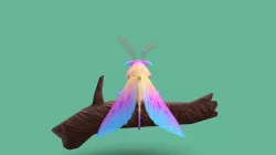 Makimoth (Lowpoly)